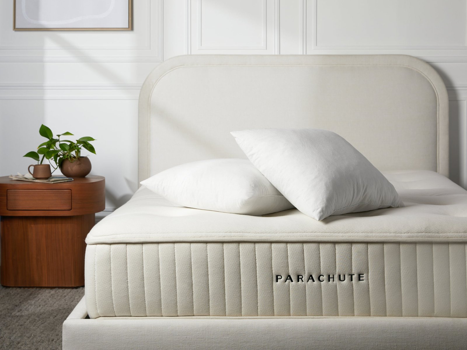 Down Decorative Pillow Insert - Image 4